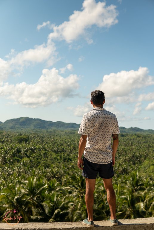 Coconut Trees View Deck